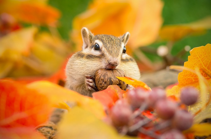 いよいよこの季節が！「新語・流行語大賞」ノミネート30語発表！