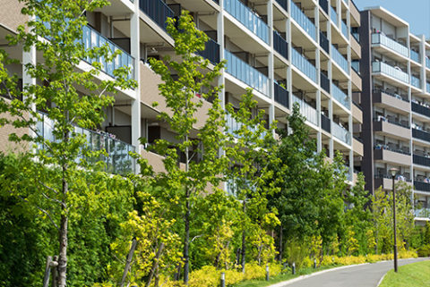 人びとが緑に囲まれて豊かに暮らすお手伝いをしています